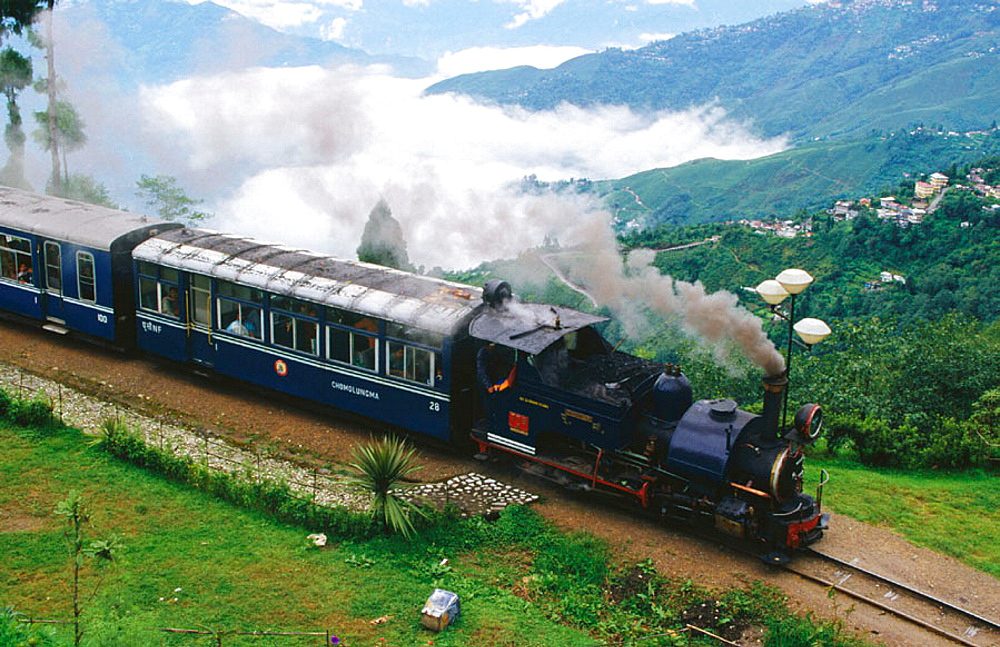 Man died hit by toy train, toy train, accident, hit, died, man, joy ride, sad