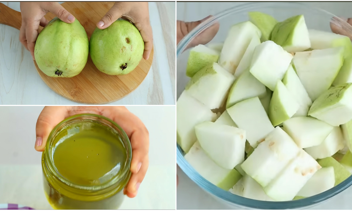 Guava, jelly, preservation, process, পেয়ারা জেলি, তৈরি পদ্ধতি, সংরক্ষণ
