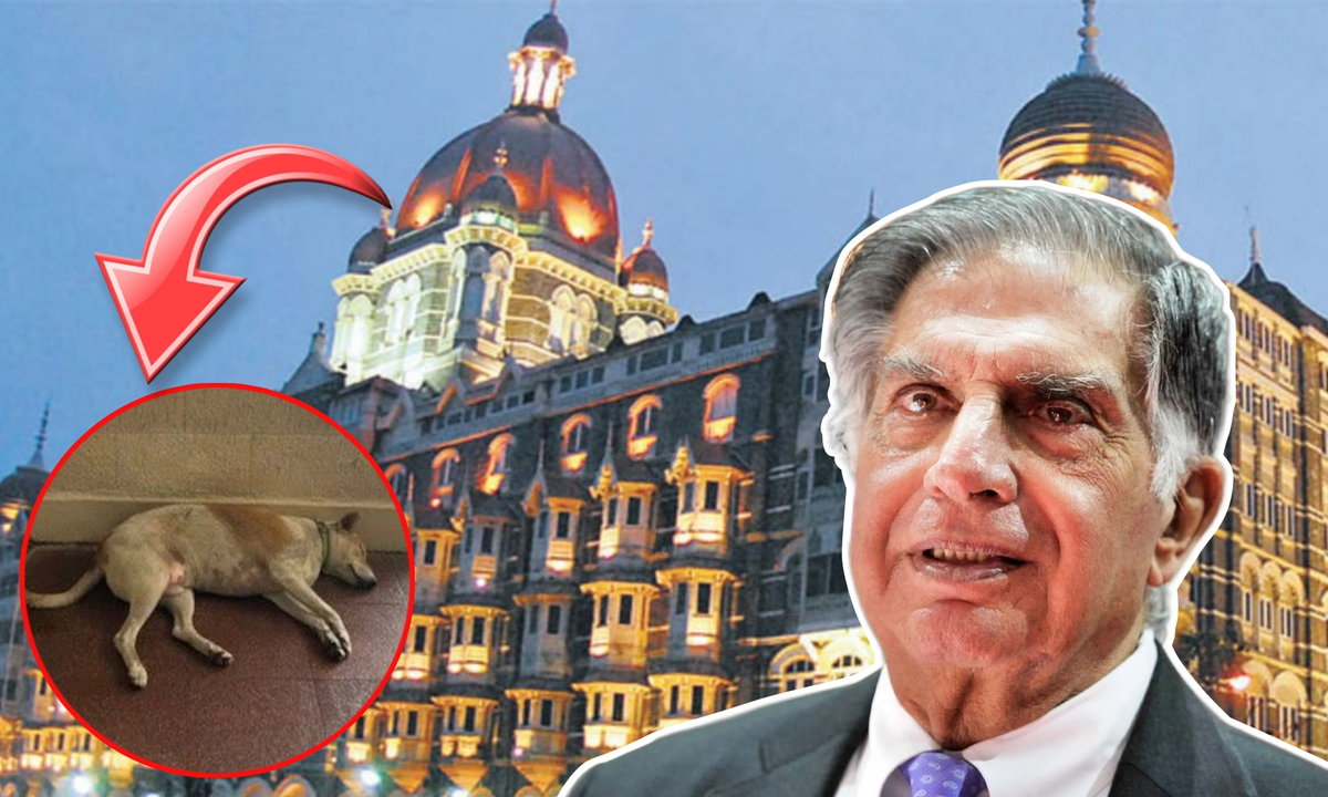 Ratan Tata, Social media, Ruby Khan, Taj Hotel, রতন টাটা, সোশ্যাল মিডিয়া, রুবি খান, পথ কুকুর