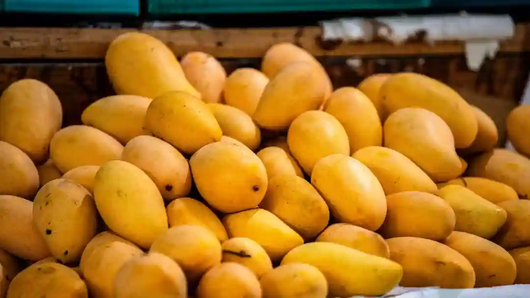 জামাইষষ্ঠটতে-হিমসাগর-আম
