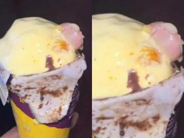 Human cut finger in ice cream, Ice cream, online order, human's finger, Mumbai, আইসক্রিম, অনলাইন অর্ডার, মুম্বাই