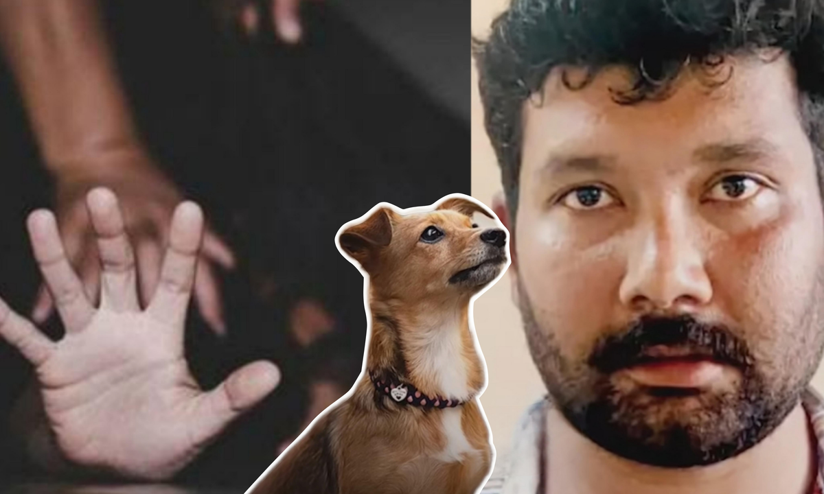Street Dog Saved Life of a Woman, Street dog, a lady, save, viral story, পথ কুকুর, প্রাণ বাঁচানো, মহিলা