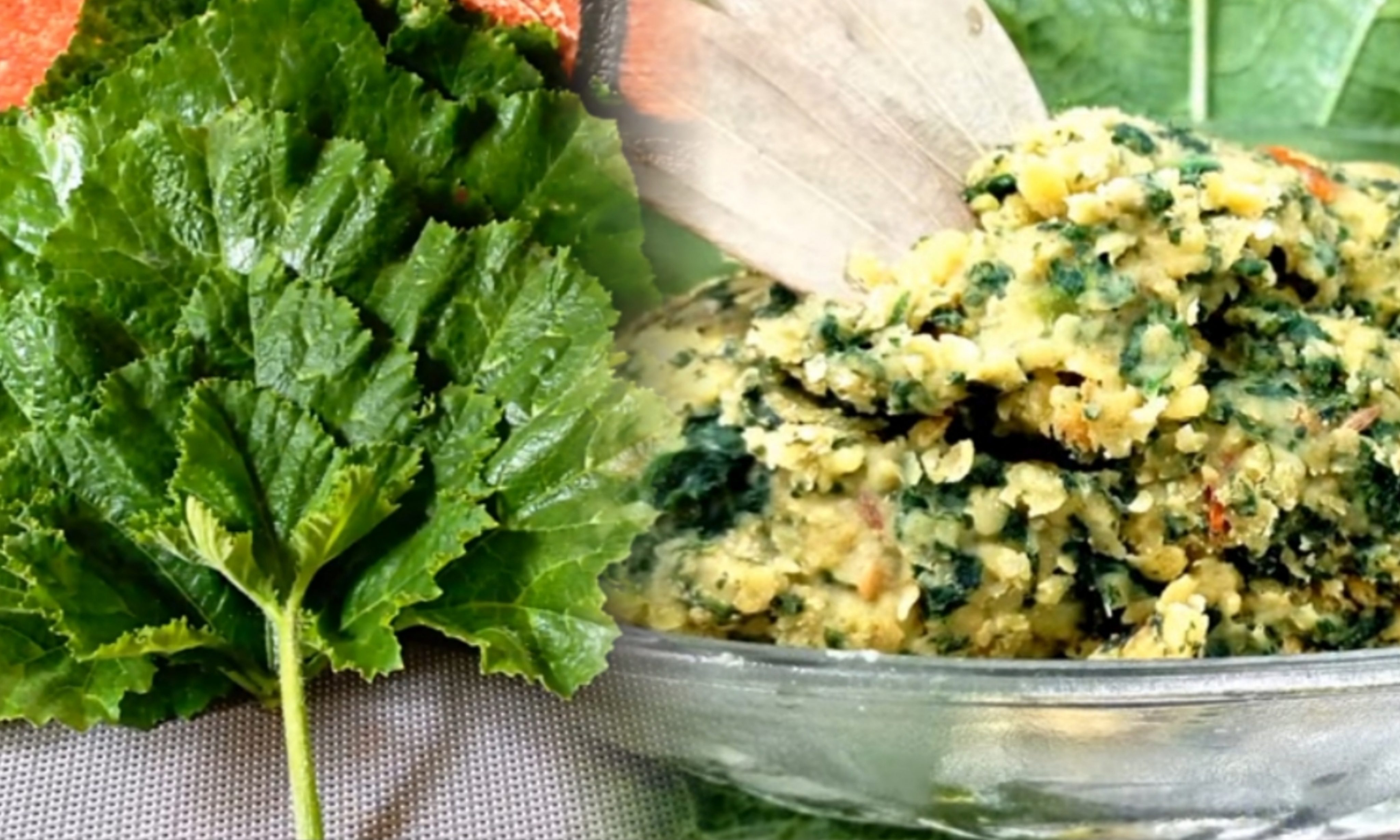 Moong dal, recipe, kumro pata moong dal, রান্না, কুমড়ো পাতা দিয়ে মুগডাল, রেসিপি