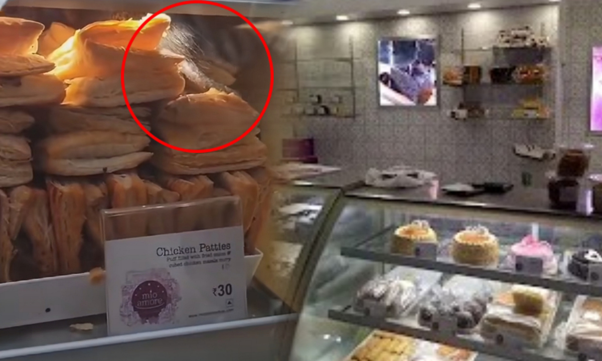 Rat Infestation at Howrah Station's Food Stall, Mio amore, rat, food, stall, howrah, হাওড়া স্টেশন, মিও আমরে, ইঁদুর