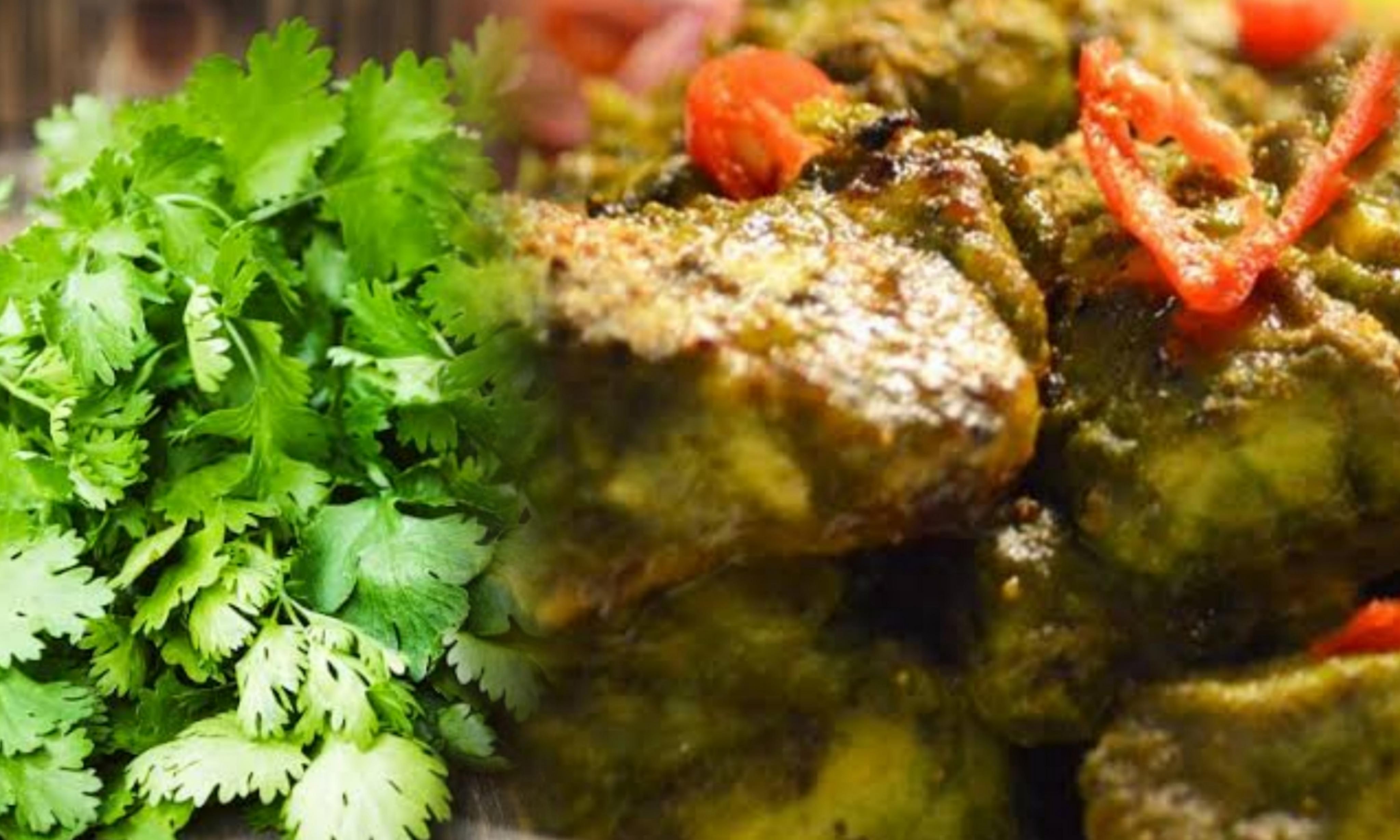 Non veg, fish, coriander bhetki, recipe, ধনেপাতা বাটা ভেটকি, রেসিপি