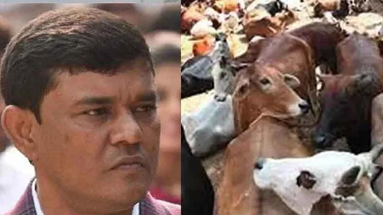 Enamul Haque, cattle smuggling case, bail, Supreme Court, Anubrata Mandal,