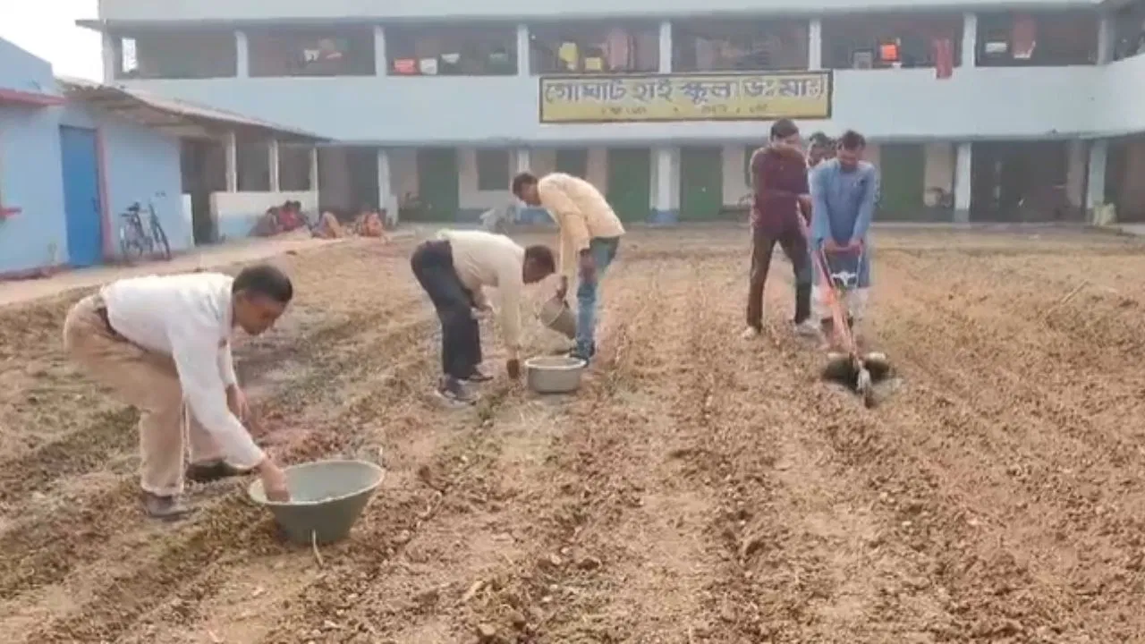 school teachers, cultivation, vegetables, school ground, great initiative, mid day meal