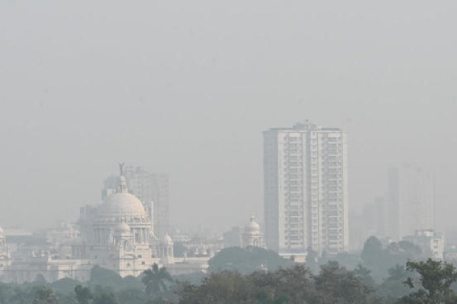 Kolkata, Diwali, Delhi, competition, air pollution, animals