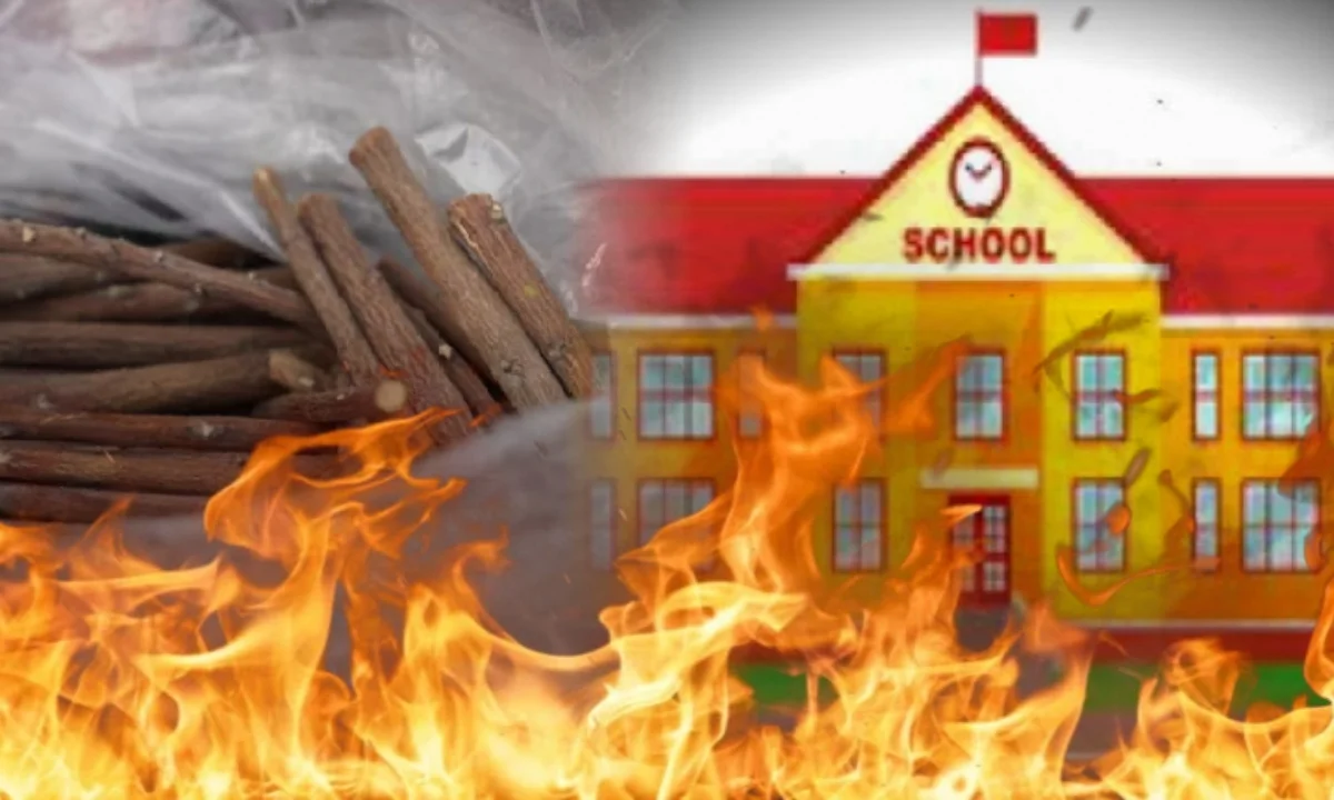 নাইজেরিয়া, Nigerian, Fire Incident, World news