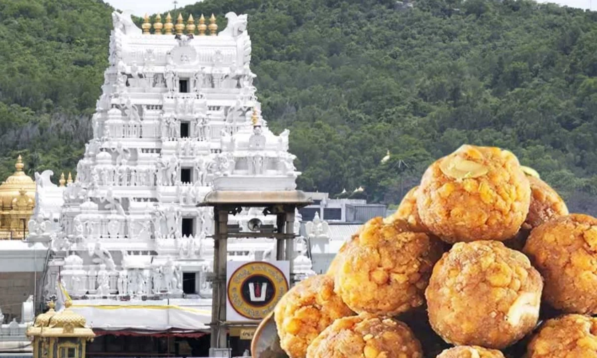 তিরুপতি লাড্ডু বিতর্ক, তিরুপতি, Tirupati, অন্ধ্রপ্রদেশ, Andhra Pradesh