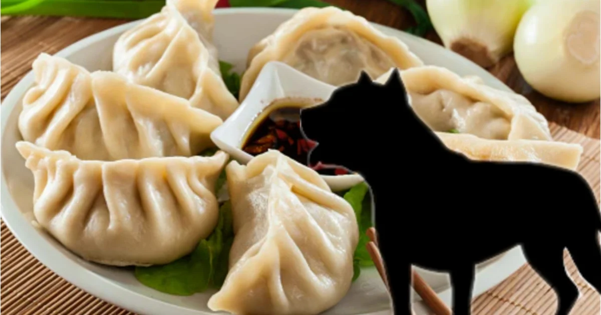 পাঞ্জাব, Punjab, Dog Head Found In Momos Factory