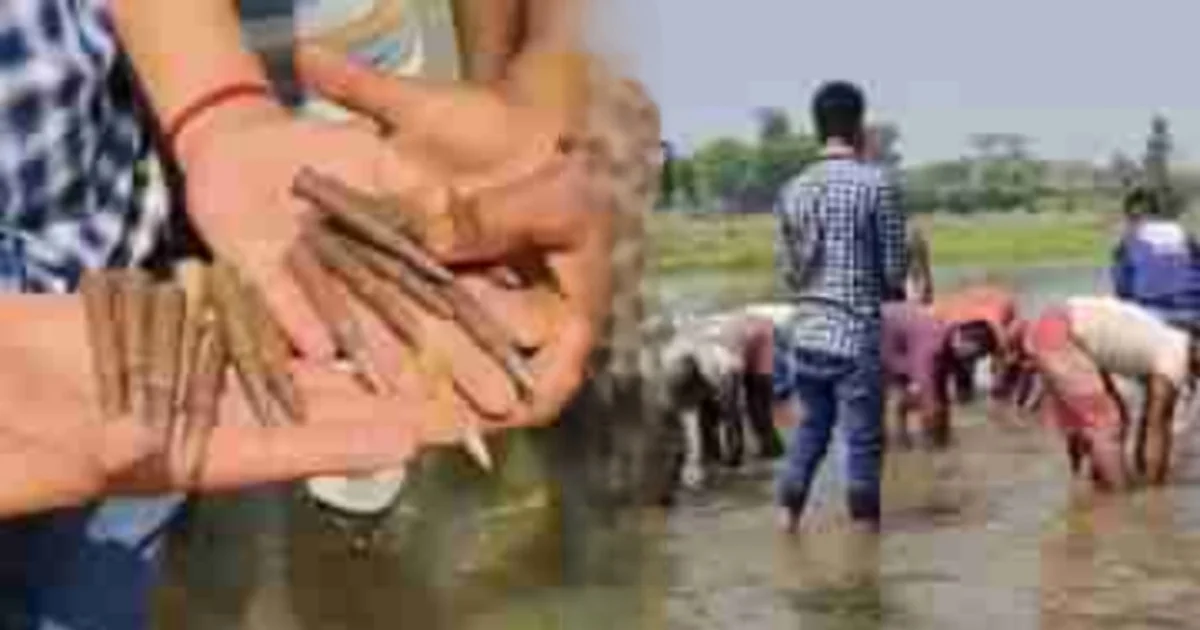 উত্তর দিনাজপুর, north dinajpur, বুলেট উদ্ধার, ইসলামপুর, Islampur