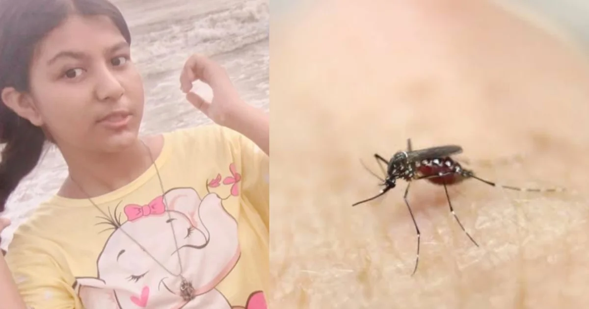 দমদম, Dumdum, ডেঙ্গু জ্বর, dengue fever