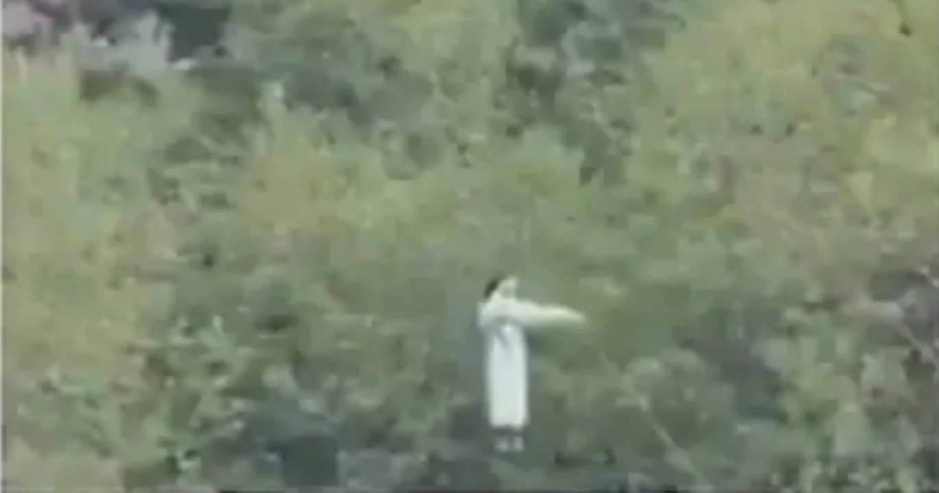 মানালি, Manali, জিপলাইন, Zipline,হিমাচল প্রদেশ, Himachal Pradesh, Accident
