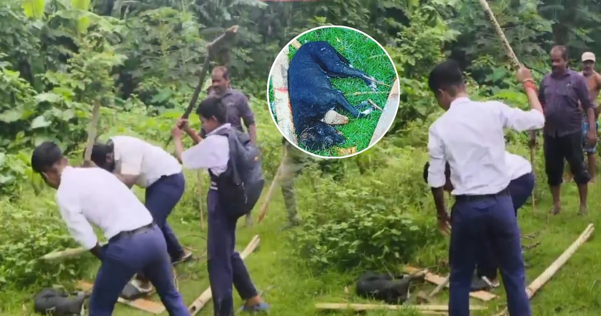 কল্যাণী, kalyani, কল্যাণী গয়েশপুর নেতাজি বিদ্যামন্দির, Nadia, নদীয়া, Gayeshpur Netaji Vidyamandir