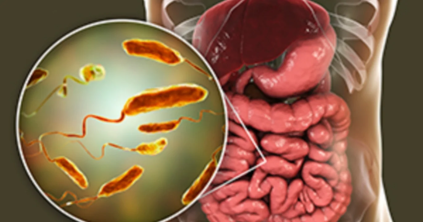 kolkata-cholera-alert-4-year-old-girl-hospitalised-behala