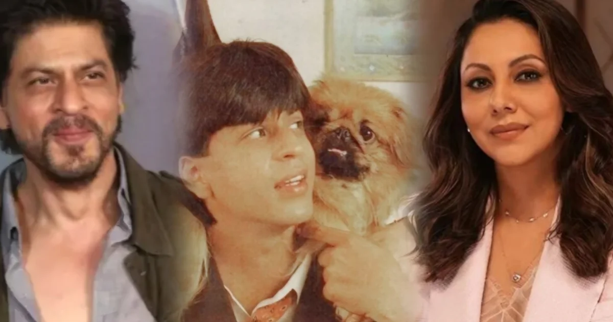 Shah Rukh Khan, Shah Rukh Khan pet dog, Gauri Khan, Bollywood News, SRK emotional story, Shah Rukh Khan viral story, King movie, Shah Rukh Khan pet love, Bollywood celebrity pets, SRK latest news, শাহরুখ খান, শাহরুখের পোষ্য কুকুর, গৌরী খান, বলিউড খবর, শাহরুখের আবেগঘন ঘটনা, কিং সিনেমা, পোষ্যপ্রেমী শাহরুখ, এসআরকে খবর, বলিউড তারকা, ভাইরাল খবর